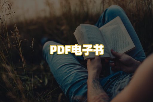 PDF电子书